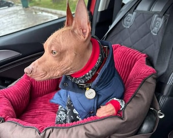 Seggiolino auto rialzato per cani di piccola, media e grande taglia: fissaggio sicuro con cintura di sicurezza, lavabile, visuale rialzata dal finestrino.