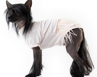 Pink Dog Dress, Cute Summer Dog Outfit, Small Dog Clothes Girl, Chihuahua Yorkie Dress, Puppy Dress Cotton, Stylish Pet Apparel, Dog Girl