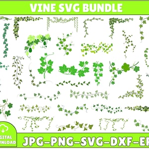 May include: A digital download graphic bundle featuring various vine designs in shades of green and brown. The text "VINE SVG BUNDLE" is at the top, with "DIGITAL DOWNLOAD" and file type options at the bottom: JPG, PNG, SVG, DXF, and EPS.