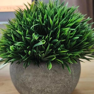 May include: A small, round, gray concrete planter filled with vibrant green artificial grass. The faux plant has long, slender blades, creating a full, textured appearance. The planter sits on a light-colored wooden surface.