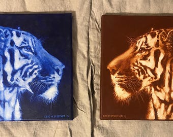 Sienna and Blue Tigers