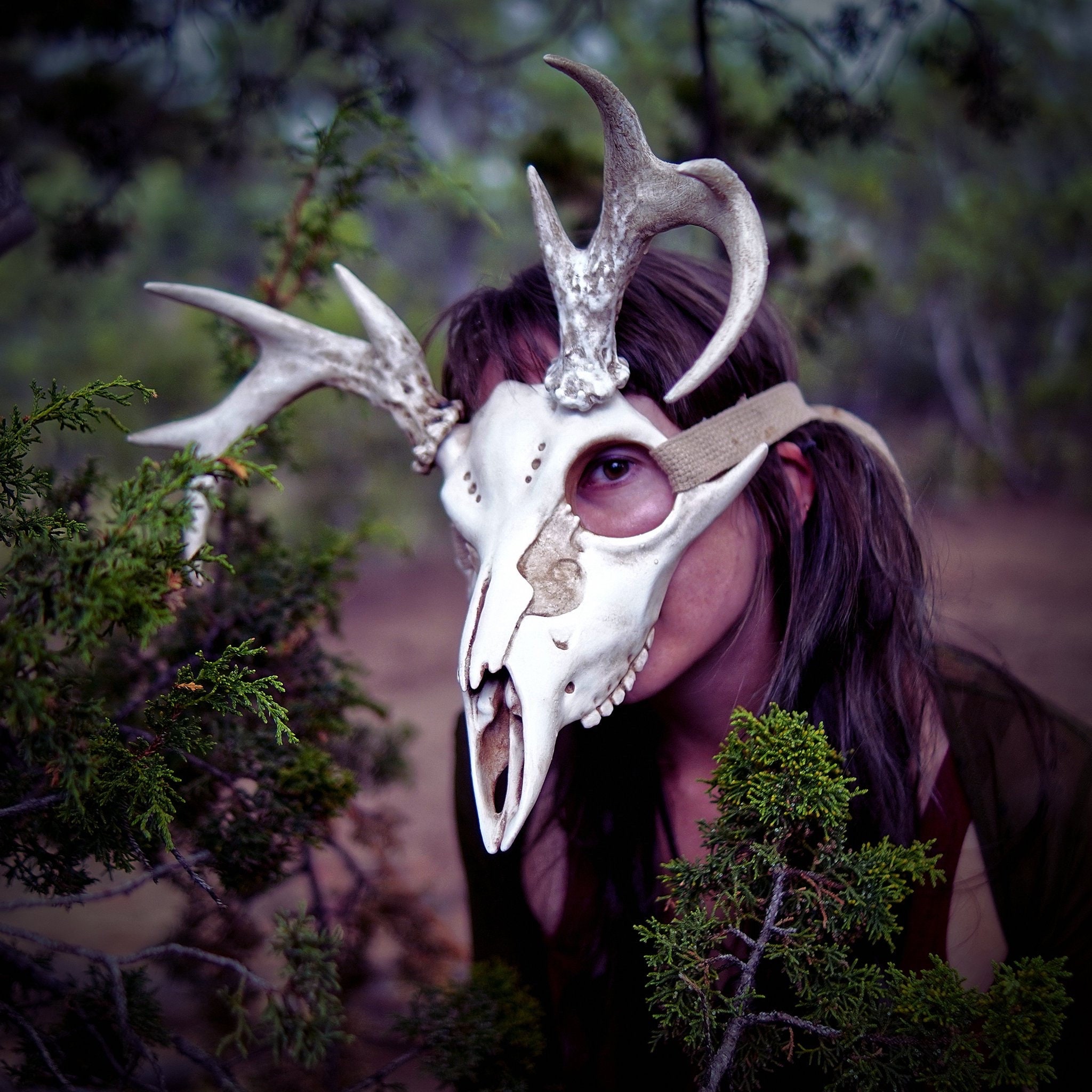 Cervine Skull Mask - Etsy