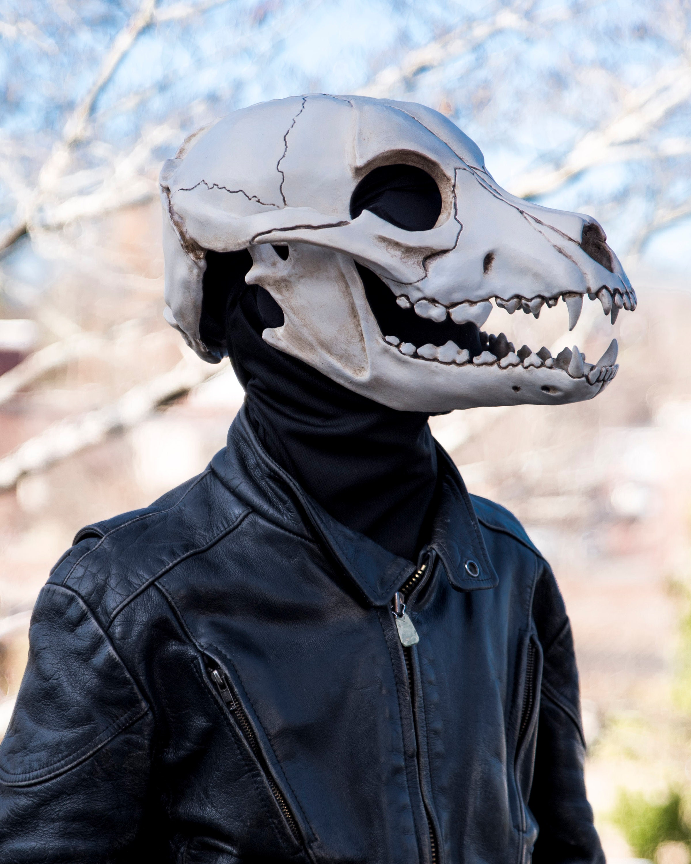 Articulated Canine Skull Mask | Etsy
