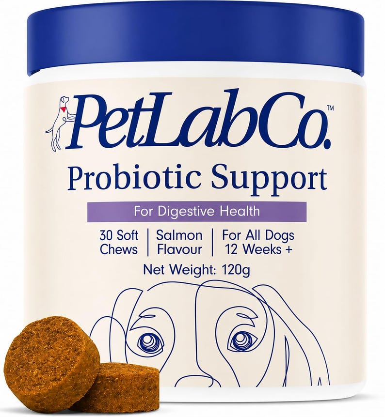 Op de afbeelding: Een witte en blauwe PetLabCo.-container met de tekst "Probiotic Support" en "For Digestive Health". De container heeft een nettogewicht van 120g en bevat 30 zachte kauwsnacks met zalmsmaak. Twee bruine kauwsnacks liggen voor de container.