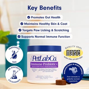 Op de afbeelding: Een witte pot PetLabCo. Immune Probiotic+ voor honden, met een blauwe deksel, staat op een wit oppervlak. Het etiket benadrukt de belangrijkste voordelen en kenmerken, waaronder geurvrij en geen synthetische kleurstoffen. Gemaakt in Noord-Amerika.