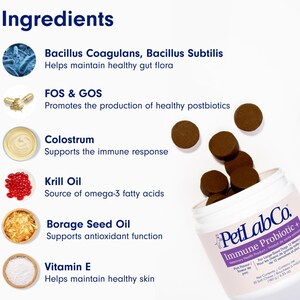 Op de afbeelding: Een witte pot PetLabCo Immune Probiotic+ voor honden, met bruine zachte kauwsnacks. Het etiket vermeldt ingredi&euml;nten zoals Bacillus Coagulans en Vitamine E. Het product is voor grote honden ouder dan 12 weken. Bevat 180g kauwsnacks.