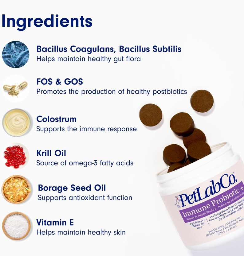 Op de afbeelding: Een witte pot PetLabCo Immune Probiotic+ voor honden, met bruine zachte kauwsnacks. Het etiket vermeldt ingredi&euml;nten zoals Bacillus Coagulans en Vitamine E. Het product is voor grote honden ouder dan 12 weken. Bevat 180g kauwsnacks.