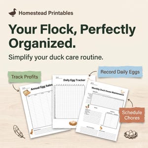 Puede incluir: Organizador imprimible de rutina de cuidado de patos con el texto "Your Flock, Perfectly Organized." Incluye formularios para rastrear ganancias, registrar huevos diarios y programar tareas.