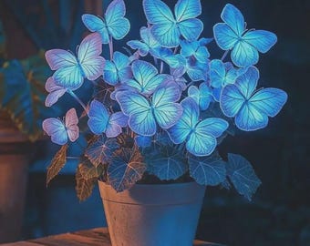 50 semillas de Hosta Plantaginea Azul: flores perennes raras para jardín de sombra, plantas de exterior de fácil cultivo