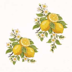 Op de afbeelding: Twee illustraties van citroenen met bladeren en bloemen. De citroenen zijn geel, met één doorgesneden om de binnenkant te onthullen. De bladeren zijn groen en de bloemen zijn wit met gele centra. De illustraties staan op een witte achtergrond.