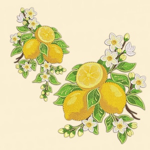 Paquete de diseños de bordado de limón siciliano: archivos para máquina de coser con motivos florales de cocina - Descarga digital