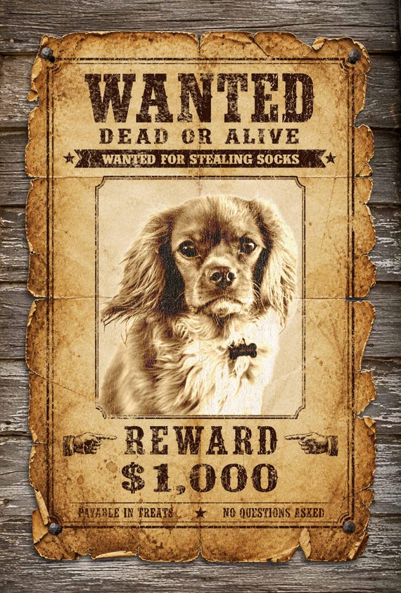 Custom Pet Wanted Poster, Wild West Dog Art, Personalized Outlaw