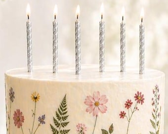 Silver Birthday Candles For Cake Topper Birthday Party Supplies Candles Spiral Silver Decor Boho Birthday Celebration