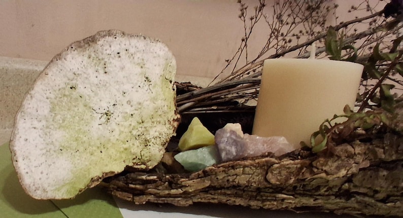 Puede incluir: Una exhibici&oacute;n r&uacute;stica y natural con una piedra grande y texturizada con acentos verdes, una vela color crema y cristales coloridos. El arreglo est&aacute; sobre un trozo de corteza, con ramas secas y vegetaci&oacute;n.