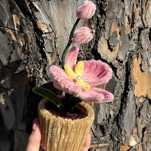 May include: A miniature pink orchid in a tan, ribbed pot. The flower has a yellow centre and a pearl accent. The stem is green, and the pot is filled with brown material. The background is a textured tree trunk.
