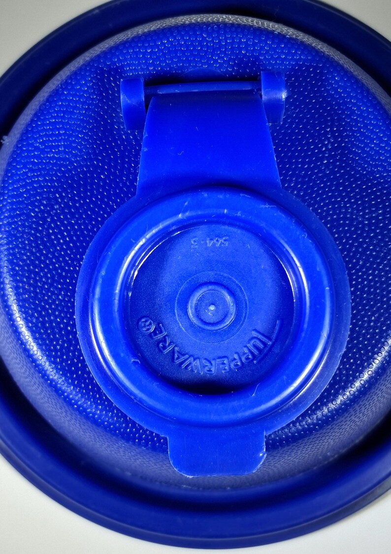 May include: Close-up of a blue Tupperware lid with a textured surface. The lid features a hinged tab and the brand name "Tupperware" is visible. The number "564-3" is printed on the lid.