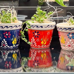 May include: A row of small, colorful ceramic pots, each filled with a small succulent plant. The pots are painted with floral designs in various colors, including yellow, blue, red, and pink. The pots have a cream-colored rim and sit on a reflective surface.