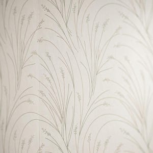 May include: Wallpaper featuring a repeating pattern of thin, sage green line drawings of tall, slender grasses with small seed heads on a solid off-white background. The design creates a continuous, flowing botanical motif across the surface.
