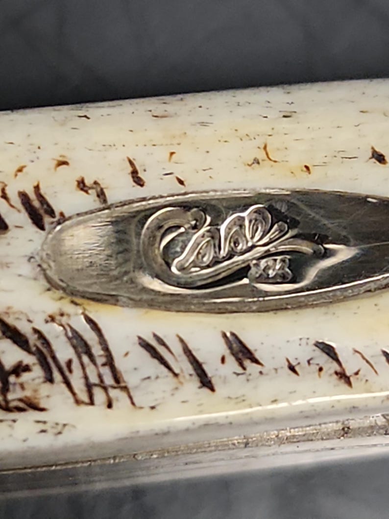 May include: A cream-colored handle with dark brown, irregular, linear markings. An oval-shaped silver-toned metal inlay is embedded in the center, featuring the embossed script text Case XX with a decorative flourish underneath the lettering.