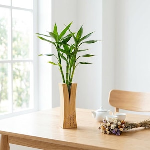 Bamboo Vase with Glass Tube | Minimalist Zen Flower Holder | Handmade Japanese Style Propagation Vase | Rustic Home Decor | Unique Gift
