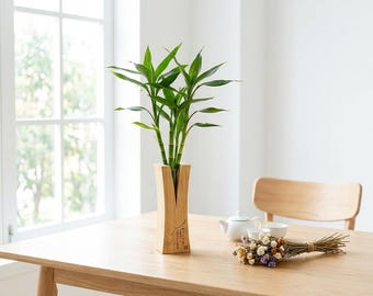 Bambusvase mit Glasrohr | Minimalistischer Zen Blumenhalter | Handgemachte Vase für Vermehrung im Japanischen Stil | Rustikale Wohnkultur | Einzigartiges Geschenk