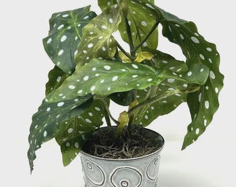 13" Artificial Angel Wing Begonia Plant in Gray Blue Ceramic Pot