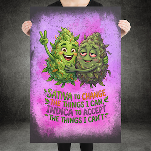 May include: A poster featuring two cartoon cannabis buds, one giving a peace sign. The poster has a purple and pink background with the text "Sativa to change the things I can, Indica to accept the things I can't."
