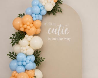 Baby Shower Balloon Garland Kit | A Little Cutie Is On The Way Decor | Peach Blue Cream Balloon Arch | Neutral DIY Party Decorations