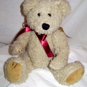 Boyd’s William P. Bear