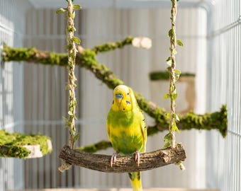 Juguete columpio para pájaros, percha columpio para loros, juguete colgante para jaula de pájaros, juguete masticable de madera natural para periquitos y cacatúas, divertido accesorio para jaula de pájaros