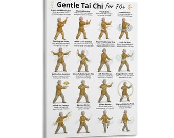 Gentle Tai Chi for 70+ Poster, Senior Fitness Low Impact Exercises Chart, Home Gym Wall Art A Mother's Day Gift That Means Painting Posters