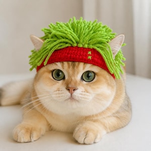 May include: A crocheted pet hat featuring a vibrant red headband base with two small green embroidered stitches on the side and a thick, shaggy layer of bright lime green yarn strands attached to the top, resembling a textured, spiky hairstyle.