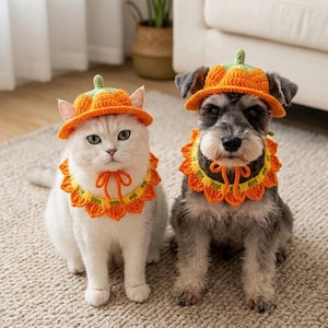 May include: A white cat and a gray dog wearing matching crocheted pumpkin-shaped hats with green stems and orange brims, paired with orange and yellow sunflower-style collars that feature tie closures around their necks for a coordinated look.
