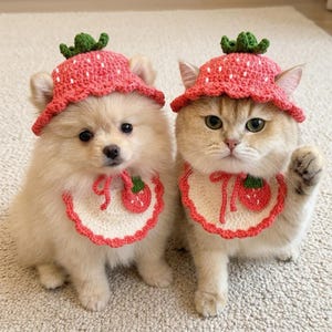 May include: A fluffy cream-colored puppy and a light brown cat wearing matching crocheted strawberry-themed accessories. Each animal wears a pink strawberry hat with a green stem and a round cream-colored bib featuring a small red strawberry motif.