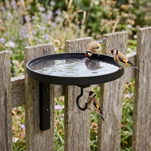 Puede incluir: Un bebedero para pájaros de metal negro fijado a una valla de madera. Tres pájaros pequeños con marcas rojas, amarillas y negras beben del cuenco circular. Accesorio de jardín.