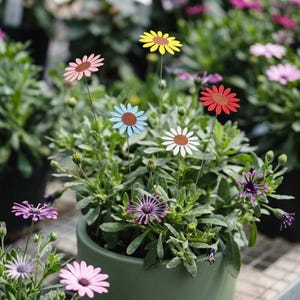 May include: A potted plant with several colorful daisy decorations. The daisies are in shades of pink, yellow, red, blue, and white, each with a brown center. The plant is in a green pot, surrounded by other plants.