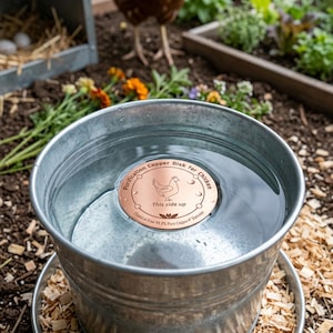 Może przedstawiać: Ocynkowane metalowe wiadro wypełnione wodą, z miedzianym dyskiem z napisem "Purification Copper Disk for Chicken". Dysk ma ilustrację kurczaka i napis "This side up". Dysk ma średnicę 10 cm.