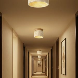 May include: A long hallway with several recessed ceiling lights. The lights have a cylindrical shape with a light-colored, textured body and a wooden top. The hallway has dark brown doors and a patterned carpet.