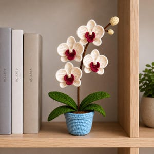 Könnte beinhalten: Eine gehäkelte Orchideenpflanze mit weißen Blüten, tiefroten Zentren und grünen Blättern. Die Pflanze steht in einem blau gehäkelten Topf. Das handgefertigte Blumenarrangement steht auf einem Holzregal neben Büchern.