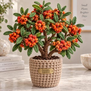 Peut inclure: Une plante Pyracantha angustifolia crochetée dans un pot beige texturé. La plante présente un tronc marron, des feuilles vertes et des grappes de baies orange vif. Une plaque métallique dorée sur le pot porte l'inscription Pyracantha angustifolia.