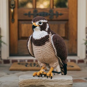 Patrón de halcón de ganchillo realista en PDF, amigurumi de pájaro, tutorial detallado de peluche de halcón, pájaro de pie de ganchillo, decoración inspirada en la naturaleza