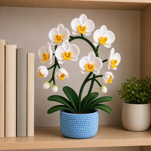 Peut inclure: Une plante d'orchidée crochetée avec des fleurs blanches, des centres jaunes et des tiges et feuilles vertes. La plante est dans un pot crocheté bleu clair. La plante est exposée sur une étagère en bois avec des livres et une petite plante en pot.