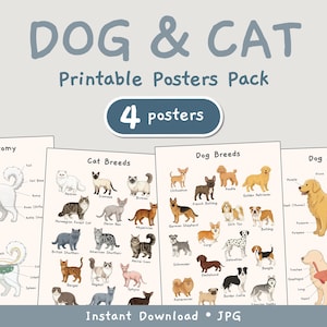 Puede incluir: Un conjunto de cuatro carteles imprimibles con ilustraciones de razas de perros y gatos y anatomía. Los carteles incluyen el texto "DOG & CAT" y "Printable Posters Pack". Los carteles están etiquetados como "Cat Anatomy", "Cat Breeds", "Dog Breeds" y "Dog Anatomy".
