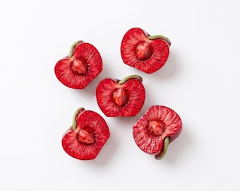 Realistic Cherry Half Fridge Magnet, Cute Food Magnet for Kitchen, Handcrafted Fruit Decor, Miniature Fruit Magnet, Unique Gift for Foodie
