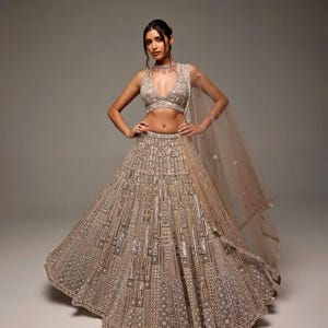 glitter indian dresses Ombre Embroidered Gown: Elegant Indian Dress main image 0