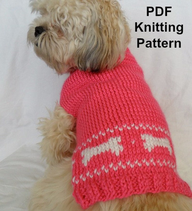 Cute Dog Sweater Knitting Pattern PDF Small Dog Sweater Etsy