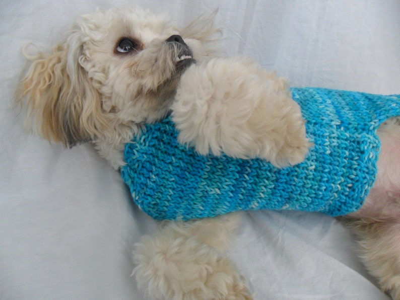 Simple dog sweater knitting pattern PDF, small dog sweater image 3