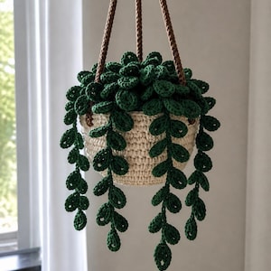 May include: A crocheted hanging planter with a cream-colored basket and dark green leaves. The leaves cascade downwards, creating a trailing plant effect. The planter is suspended by brown rope.