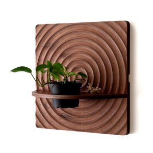 Ripple Carved Wall Planter - Wall Mounted Plant Stand - Indoor Planter -  Modern Plant Shelf - Wood Carved Water Ripple Art - Made in USA