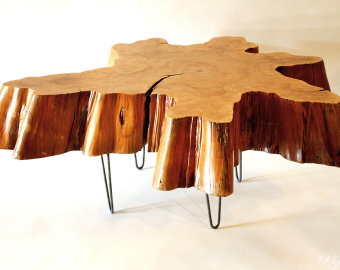 Reclaimed Tree Stump Coffee Table on Vintage Hairpin Legs Etsy